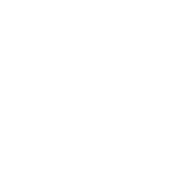HEALTH SERVCESMesa de trabajo 61